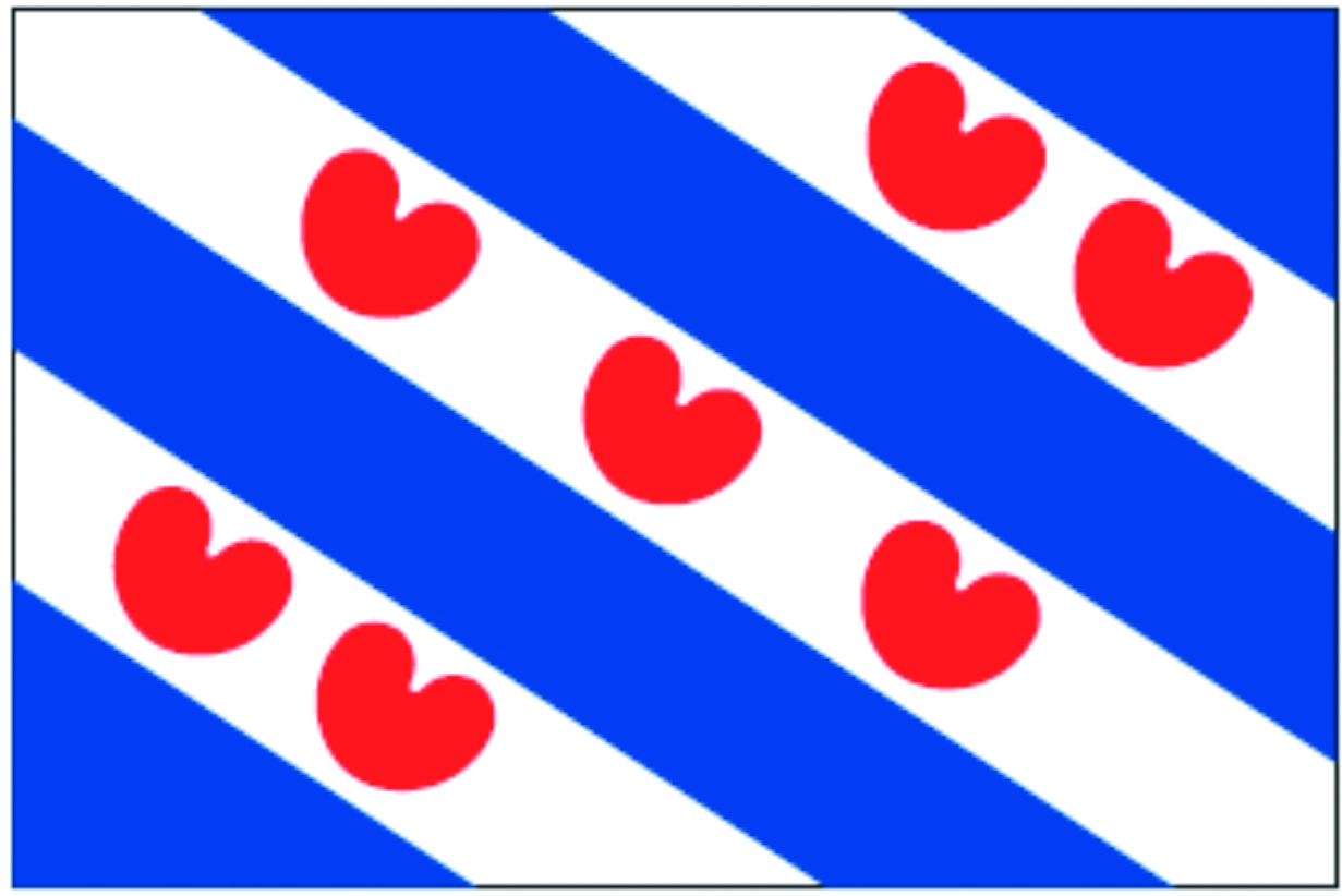 Talamex Frisian Flag 20X30