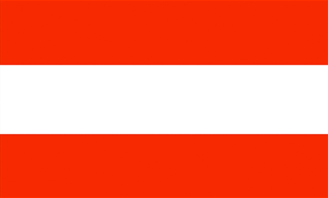 Talamex Flag Austria 20X30 CM